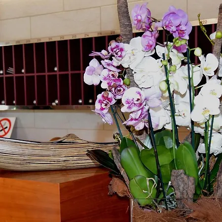 Giulietta Romeo Ξενοδοχείο 3*