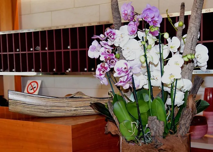 Giulietta Romeo Hotel 3*